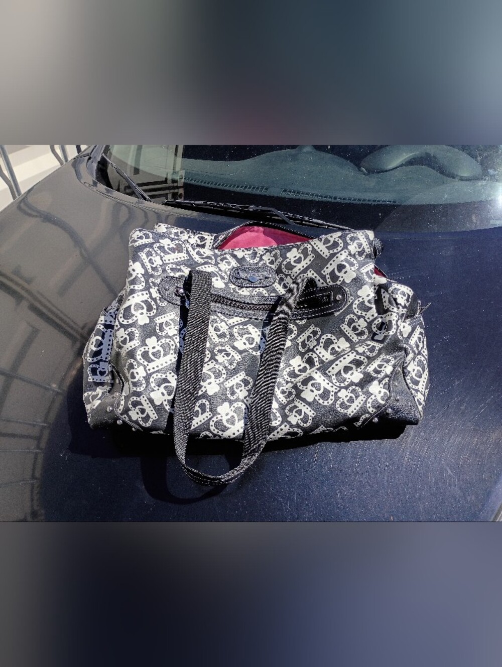 Kathy Van Zeeland Tote Style Carry Bag